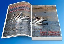 Book-Open-Pelicans